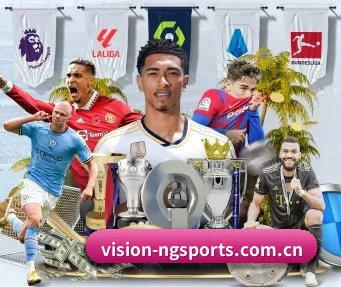 vision-ngsports.com.cn APP